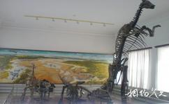 吉林大学博物馆校园概况之巨型恐龙骨架化石