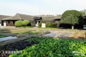 上海張聞天故居-菜園照片