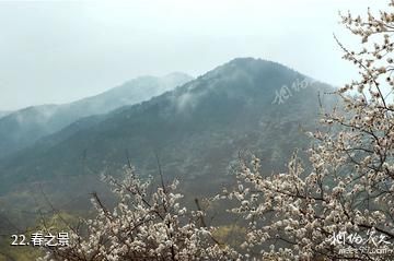 三门峡甘山国家森林公园-春之景照片