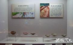 廣西壯族自治區博物館旅遊攻略之暗香浮動