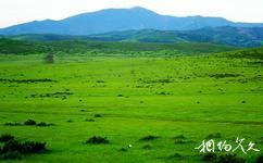 內蒙古賽罕烏拉國家級自然保護區旅遊攻略