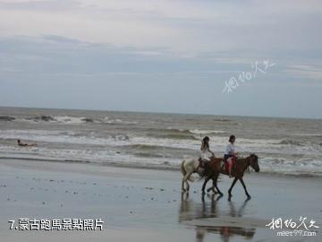 吳川吉兆灣-蒙古跑馬照片