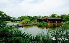 江西吉州窯遺址旅遊攻略之公園