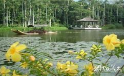 日本沖繩旅遊攻略之東南植物樂園