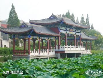 仙桃沔城旅游区-莲池观景台照片