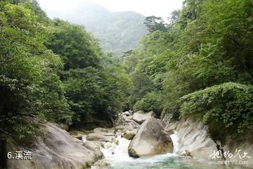 广西千家洞国家级自然保护区-溪流照片