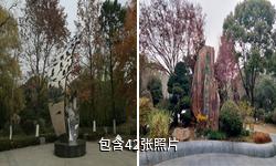 昆山城市生态森林公园驴友相册