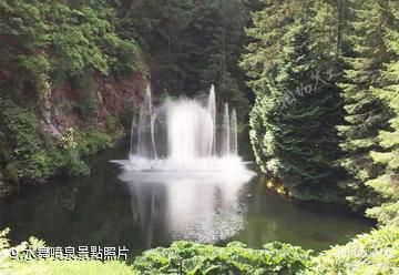 加拿大布查特花園-水舞噴泉照片