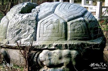 苏州韩世忠墓-龟趺照片
