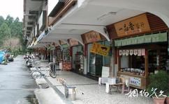 台湾溪头森林公园（溪头自然教育园区）旅游攻略之商店街