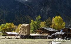 西藏林芝旅游攻略之米堆村