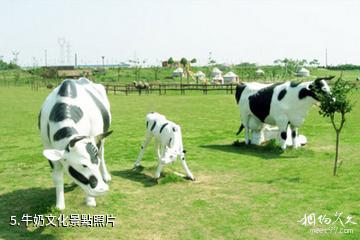 南京淳化山田牛奶園景區-牛奶文化照片