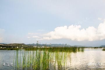 威宁草海国家级自然保护区-湿地照片