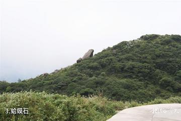 南岭国家级自然保护区-蛤蟆石照片