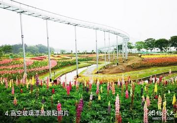 銅陵梧桐花谷-高空玻璃漂流照片