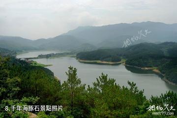 孝昌觀音湖-千年海豚石照片
