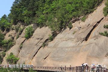 陝西延安黃陵國家森林公園-曬經崖照片