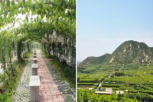 山東青島平度大澤山旅遊攻略-大澤山鎮景點排行榜