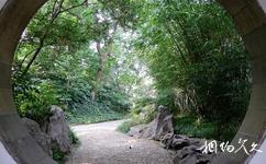 常州东坡公园旅游攻略之绿化