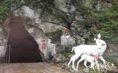郴州蘇仙嶺旅遊攻略之白鹿洞