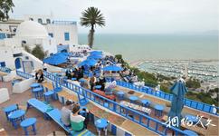 突尼西亞藍白小鎮旅遊攻略之階梯咖啡館