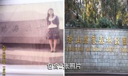 咸宁潜山国家森林公园驴友相册