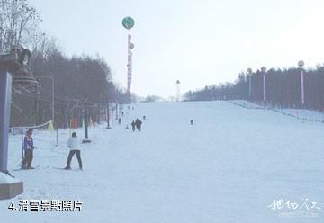 慶安望龍山國家森林公園-滑雪照片