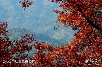 廣州從化石門國家森林公園-石門紅葉照片
