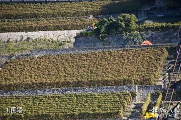 瑞士拉沃葡萄园-围墙照片