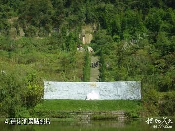 重慶聖燈山森林公園-蓮花池照片