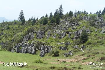 重慶彭水摩圍山-石林照片