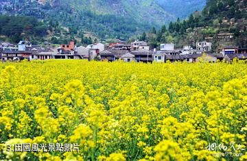 天台南屏旅遊景區-田園風光照片