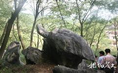 湖南天堂山國家森林公園旅遊攻略之烏龜石