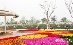 天津東麗湖恆大溫泉旅遊攻略之花卉