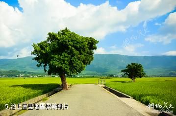 台灣花蓮花東縱谷國家風景區-池上富里地區照片