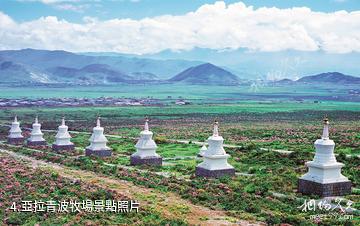 香格里拉藍月山谷旅遊區-亞拉青波牧場照片