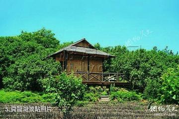 無錫市太湖花卉園-舜龍湖照片