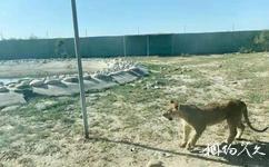 和田市動物園旅遊攻略之動物