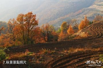 延安子午嶺國家級自然保護區-秋景照片