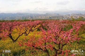 青海民和桃花园林-桃树照片