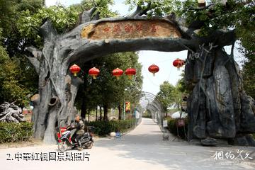 泰興中華紅楓園-中華紅楓園照片
