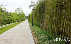 广东神光山国家森林公园旅游攻略之竹园