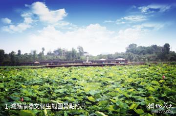 瀘縣龍橋文化生態園照片
