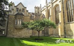 英国剑桥大学校园概况之苹果树