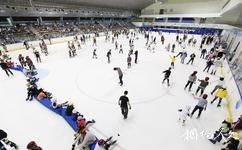 中国台北小巨蛋体育馆旅游攻略之溜冰场