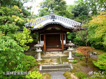 日本桂離宮-園林堂照片