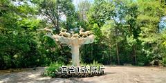 沙湾三道河子森林公园驴友相册