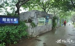 廣州長隆旅遊攻略之鱷魚長廊