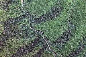 长白石林旅游地图_长白石林卫星地图_长白石林景区地图
