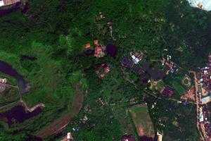 广州丹水坑旅游地图_广州丹水坑卫星地图_广州丹水坑景区地图